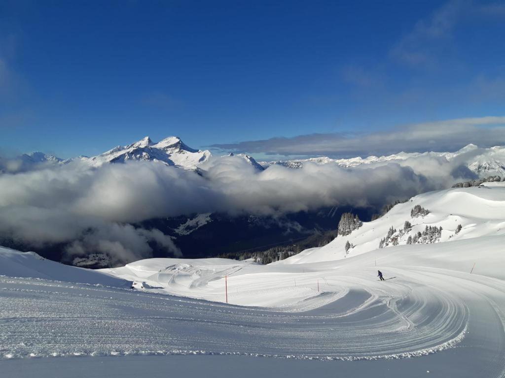 Ferien Im Paradies Brienzwiler Exteriör bild